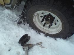 post-2898-0-08323500-1332420601_thumb.jp