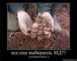 post-3710-0-22760800-1331606386_thumb.jp