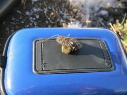 post-4236-0-71337700-1331359795_thumb.jp