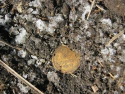 post-4236-0-96226800-1331359814_thumb.jp