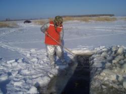 post-4269-0-22158400-1331219558_thumb.jp