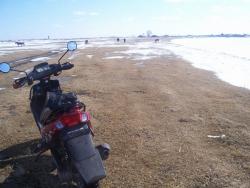 post-4269-0-25347000-1333102811_thumb.jp