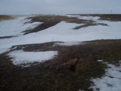 post-4269-0-28446400-1332412307_thumb.jp