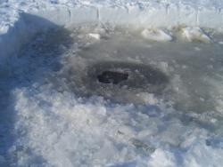 post-4269-0-39410900-1331045928_thumb.jp