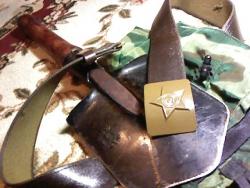 post-4269-0-57995200-1331998358_thumb.jp