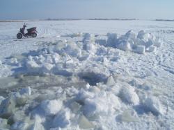 post-4269-0-60827800-1331045847_thumb.jp