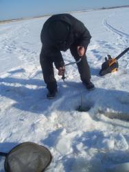 post-4269-0-61735100-1331219467_thumb.jp