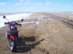 post-4269-0-71367200-1333102877_thumb.jp