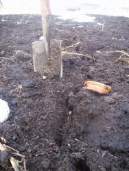 post-4269-0-80683400-1332600274_thumb.jp