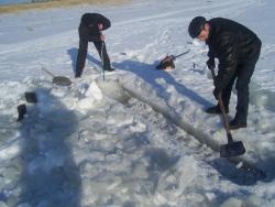 post-4269-0-90018600-1331219274_thumb.jp