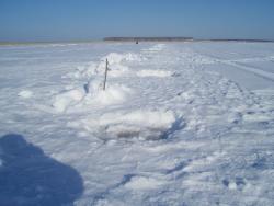 post-4269-0-94749400-1331218284_thumb.jp