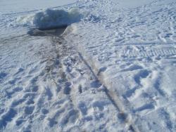 post-4269-0-97692900-1331219145_thumb.jp