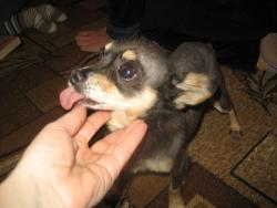 post-4655-0-74423100-1332507903_thumb.jp