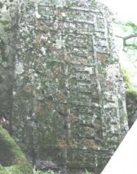 post-5029-0-62404100-1332315663_thumb.jp