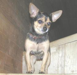 post-5029-0-62891000-1331188262_thumb.jp