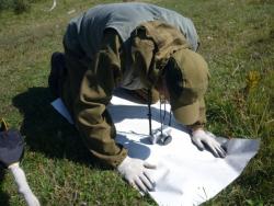 post-5029-0-62957800-1332162431_thumb.jp