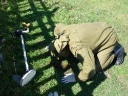 post-5029-0-65344800-1332162425_thumb.jp