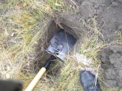 post-5029-0-78417600-1332131127_thumb.jp