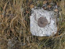 post-5029-0-88128700-1332130973_thumb.jp