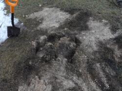 post-5575-0-29799300-1332515738_thumb.jp