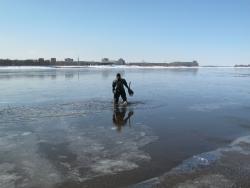 post-5580-0-09146400-1332779288_thumb.jp