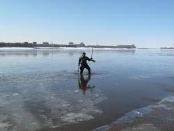 post-5580-0-14038200-1332779311_thumb.jp