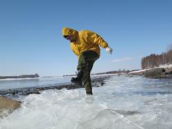 post-5580-0-47887600-1332779172_thumb.jp