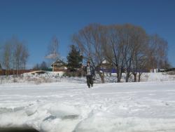 post-5580-0-77283400-1332779223_thumb.jp