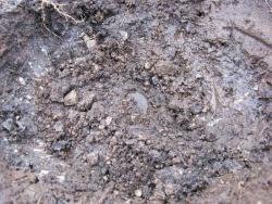 post-6086-0-39884200-1332728357_thumb.jp