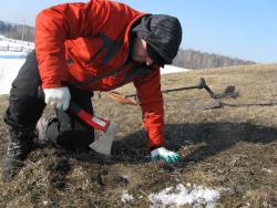 post-6086-0-52099600-1331430490_thumb.jp