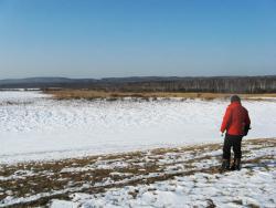 post-6086-0-88640200-1331430480_thumb.jp