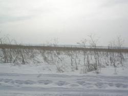 post-6107-0-18615200-1331362984_thumb.jp