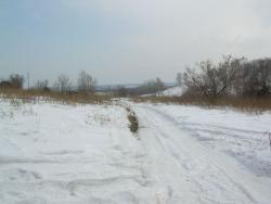 post-6107-0-47536500-1331363669_thumb.jp