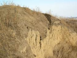 post-6107-0-97150000-1331365399_thumb.jp