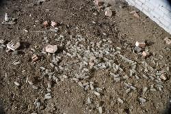 post-6129-0-07508000-1331385349_thumb.jp