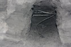 post-6911-0-22810200-1331460176_thumb.jp