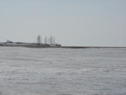 post-6911-0-50060900-1333112098_thumb.jp