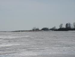 post-6911-0-72055900-1333112115_thumb.jp