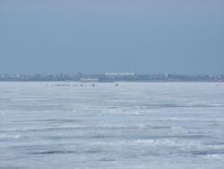 post-6911-0-94713900-1333112084_thumb.jp