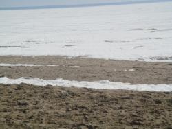 post-8670-0-50918100-1333212488_thumb.jp