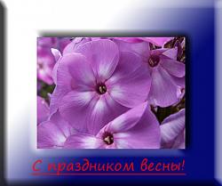 post-8942-0-81165600-1331148544_thumb.jp