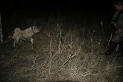 post-9148-0-07006700-1331380849_thumb.jp