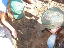 post-9148-0-14590400-1332076362_thumb.jp