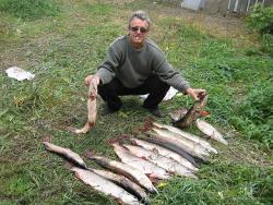 post-9148-0-20494000-1331405806_thumb.jp