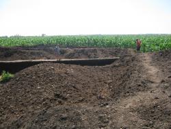 post-9148-0-27602600-1332071428_thumb.jp