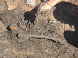 post-9148-0-27814100-1332079521_thumb.jp