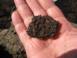 post-9148-0-33753800-1332078667_thumb.jp