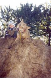 post-9148-0-41736400-1331878269_thumb.jp