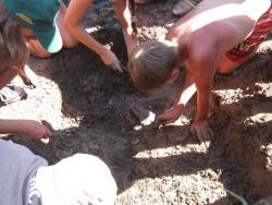 post-9148-0-46394000-1332073100_thumb.jp