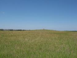 post-9148-0-51347800-1332069589_thumb.jp